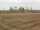 Food Plots On the Property